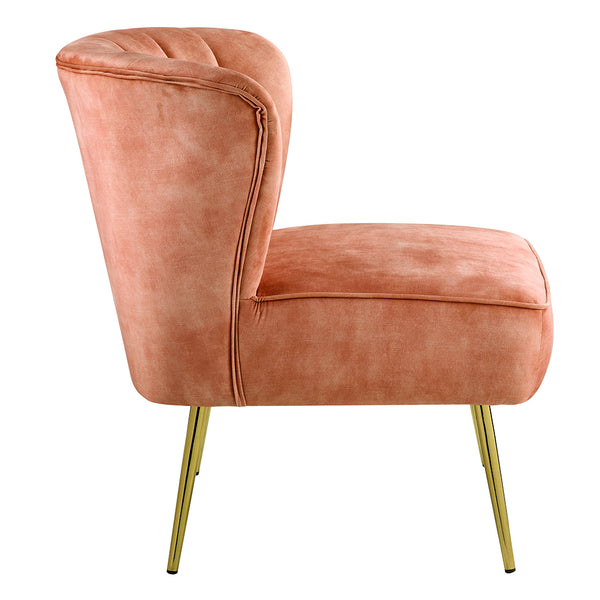 ACME Sambell Burnt Orange Velvet Accent Chair Model AC00126