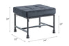 ACME Brantley Gray Velvet & Sandy Gray Ottoman Model AC00427