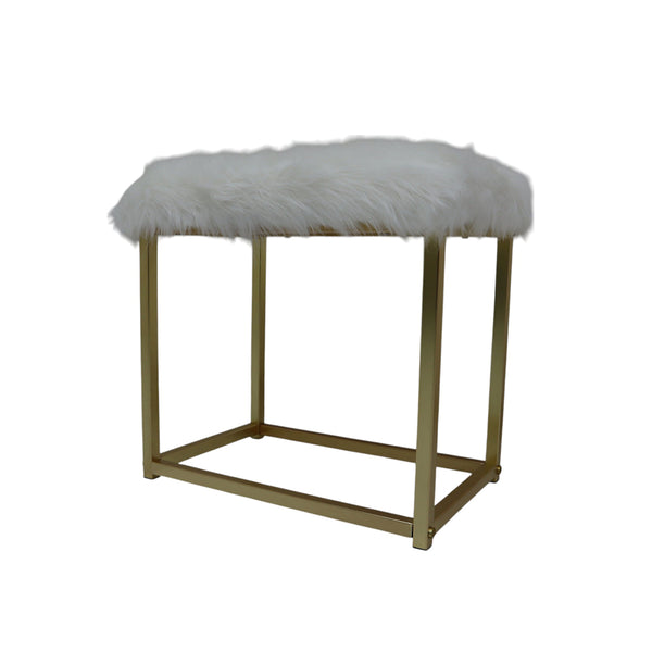 ACME Adao Faux Fur Mirror Black & Brass Vanity Mirror & Stool Model AC00931