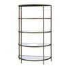 ACME Aditya Mirrored & Antique Brass Rack Model AC02738