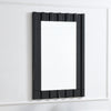 ACME Drisana Black Mirrored Accent Mirror Model AC03871