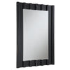 ACME Drisana Black Mirrored Accent Mirror Model AC03871