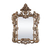 ACME Constantine Brown & Gold Mirror Model BD00473