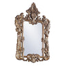 ACME Constantine Brown & Gold Mirror Model BD00473