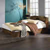 ACME Hestia Walnut Queen Bed with Storage Model BD00542Q
