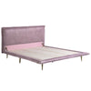 ACME Metis Pink Top Grain Leather Queen Bed Model BD00561Q