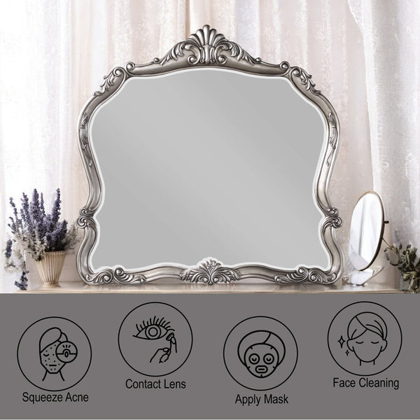 ACME Ariadne Antique Platinum Mirror Model BD00605