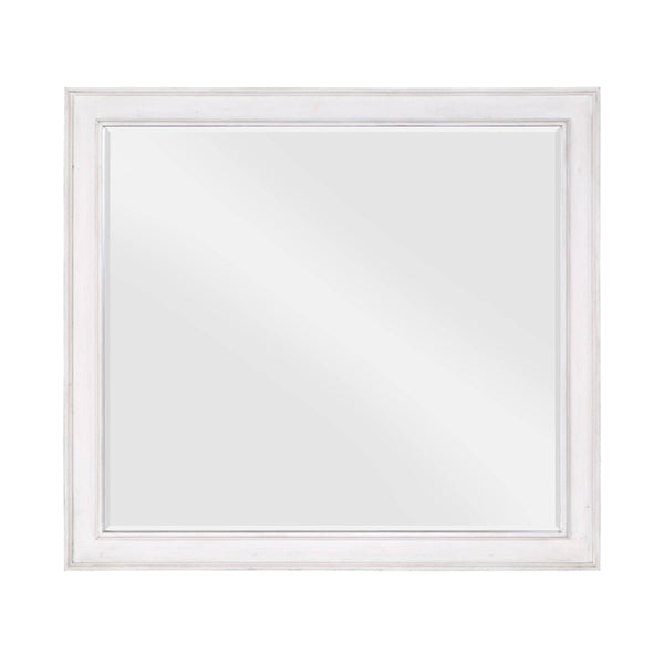 ACME Katia Rustic Gray & Weathered White Mirror Model BD00662