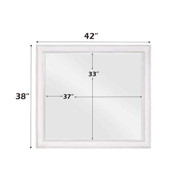 ACME Katia Rustic Gray & Weathered White Mirror Model BD00662