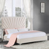 ACME Faiz Beige Velvet Eastern King Bed Model BD00956EK