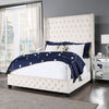 ACME Fabrice Beige Velvet Eastern King Bed Model BD00964EK