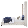ACME Fabrice Beige Velvet Queen Bed Model BD00965Q