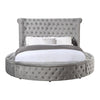ACME Gaiva Gray Velvet Eastern King Bed with Storage Model BD00966EK
