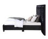 ACME Damazy Black Velvet Queen Bed Model BD00975Q