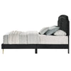 ACME Zeena Black Velvet Queen Bed Model BD01176Q