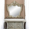 ACME Danae Champagne & Gold Mirror Model BD01236