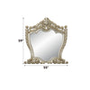 ACME Danae Champagne & Gold Mirror Model BD01236