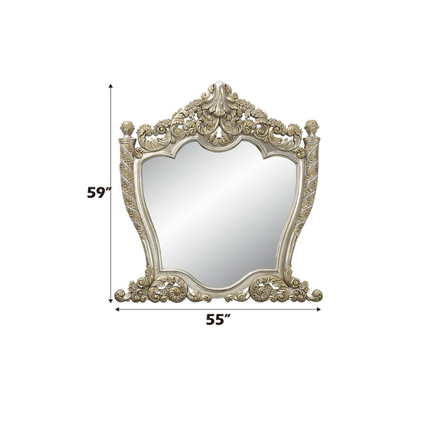 ACME Danae Champagne & Gold Mirror Model BD01236