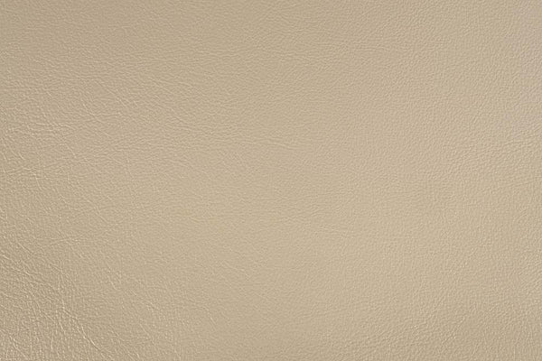 ACME Sorina Synthetic Leather & Antique Gold Eastern King Bed Model BD01241EK