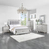 ACME Varian Gray Velvet Silver & Mirrored Twin Bed Model BD01412T