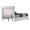 ACME Haiden LED & White Queen Bed with Storage Model BD01425Q
