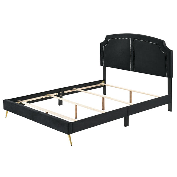 ACME Zeena Black Velvet Full Bed Model BD01461F