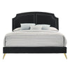 ACME Zeena Black Velvet Full Bed Model BD01461F