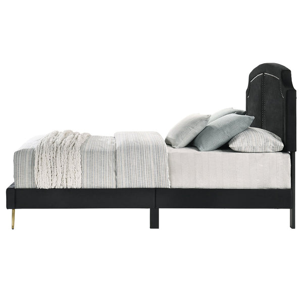 ACME Zeena Black Velvet Full Bed Model BD01461F