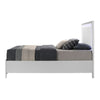 ACME Haiden LED & White Eastern King Bed with Storage Model BD01742EK