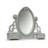ACME Flora Gray Jewelry Mirror Model BD02206