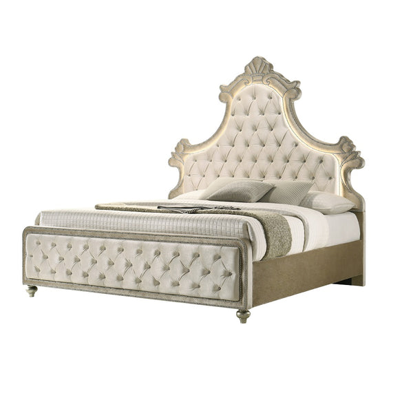 ACME Lucienne Beige Velvet Queen Bed with LED Model BD02335Q
