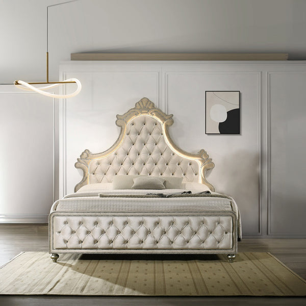 ACME Lucienne Beige Velvet Queen Bed with LED Model BD02335Q