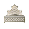 ACME Lucienne Beige Velvet Queen Bed with LED Model BD02335Q