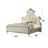 ACME Lucienne Beige Velvet Queen Bed with LED Model BD02335Q