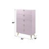ACME Gaines Pink High Gloss Chest Model BD02666