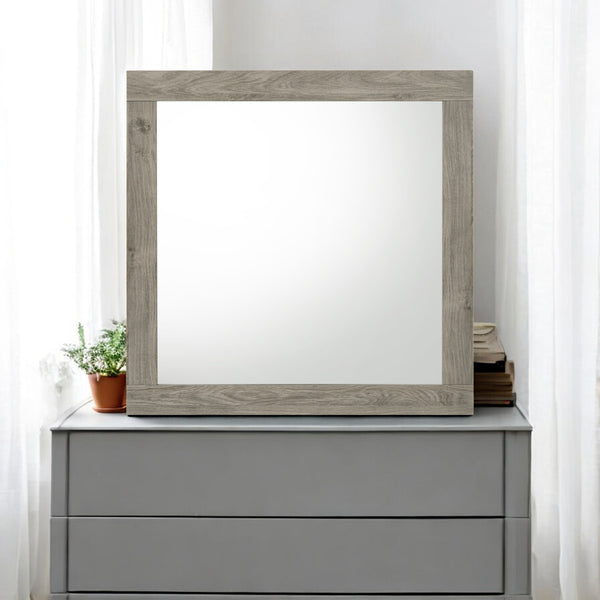 ACME Mari Light Gray Mirror Model BD04144