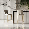 Modrest Burton Contemporary Beige & Brass Counter Stool Set Of Two Model VGGA-1567-05-BG-CS