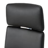 Clyne Modern Black Vegan Leather Executive Office Chair