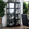 Furniture of America Vilas Black Transitional Curio Cabinet Model CM-CR140BK