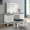 Furniture of America Madonna White/Black Contemporary Vanity Set Model CM-DK824WH-PK