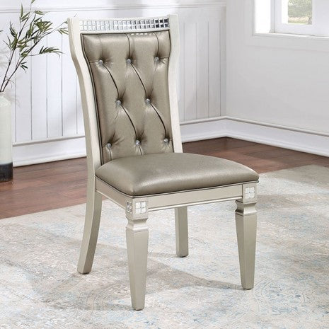 Furniture of America Adelina Champagne/Warm Gray Transitional Side Chair (2/Box) Model CM3158SC-2PK