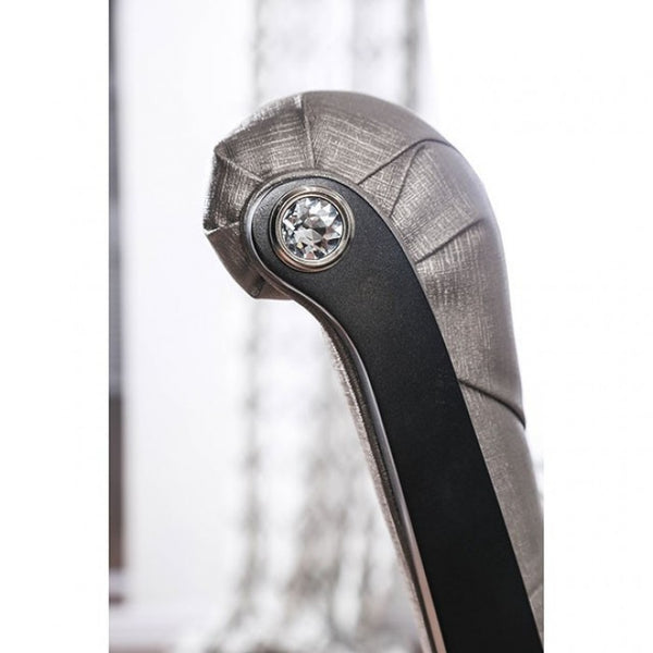 Furniture of America Amina Gray Transitional Side Chair (2/Ctn) Model CM3219GY-SC-2PK