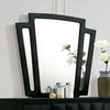 Furniture of America Carissa Black Transitional Mirror Model CM7164BK-M