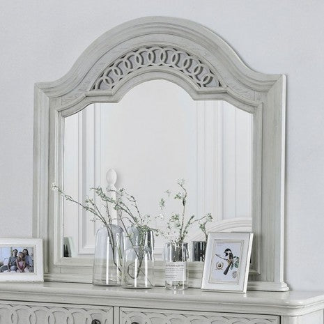 Furniture of America Fantasia Antique White Transitional Mirror Model CM7427M
