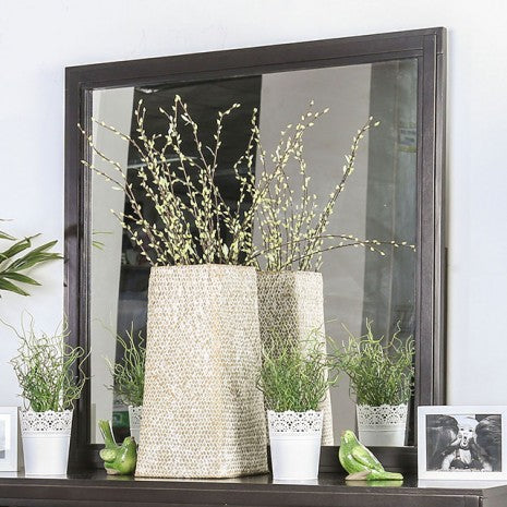 Furniture of America Berenice Espresso Transitional Mirror Model CM7580EX-M