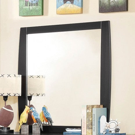 Furniture of America Marlee Black Transitional Mirror Model CM7651BK-M-VN
