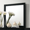 Furniture of America Louis Philippe Black Transitional Mirror Model FM7866BK-M