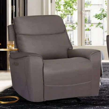 Furniture of America Artemia Gray Transitional Power Recliner Model CM9922GY-CH-PM