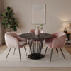 Luzerne Modern Pink Velvet Dining Chair