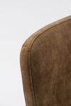 Ditka Modern Camel Velvet Dining Chair (Set of 2)
